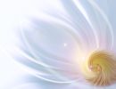 Professional_backgrounds_ 177