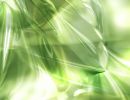 Professional_backgrounds_ 186
